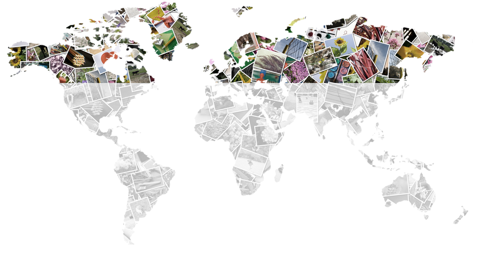 world map